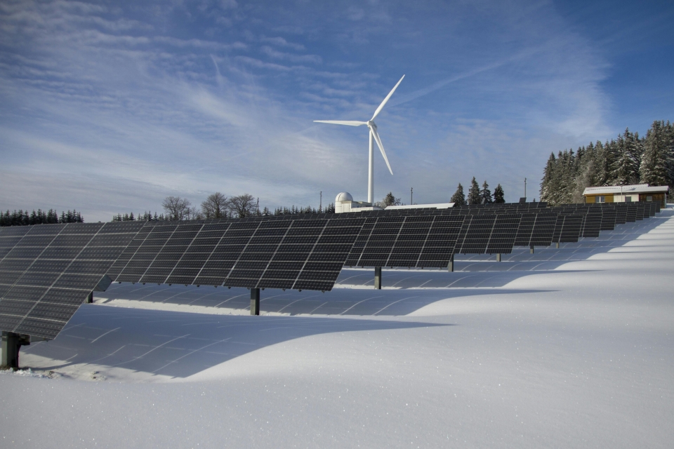 Windmill and solar panel